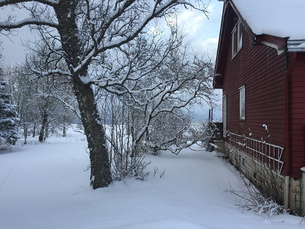 Bo Huset Guest House Sortland Exterior photo